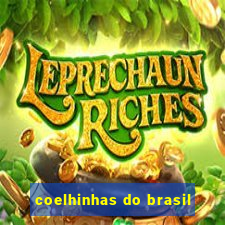 coelhinhas do brasil